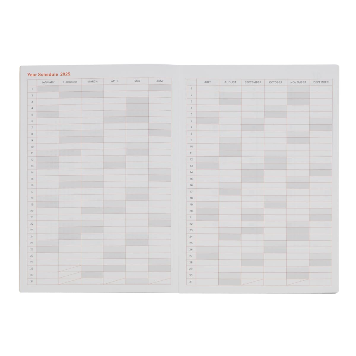 リヒテル10枚セット 31cylgiAMqL.jpg_BO30,255,255,